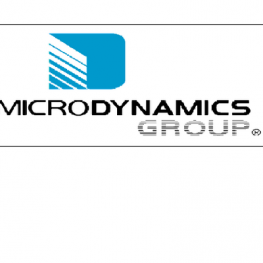 Microdynamics Group